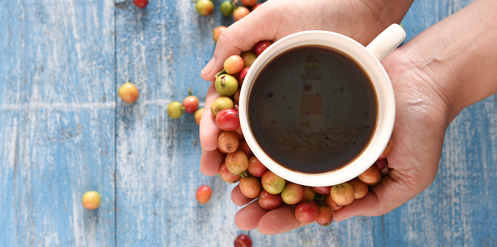 Dark, Medium and Light Roasted Coffee Beans